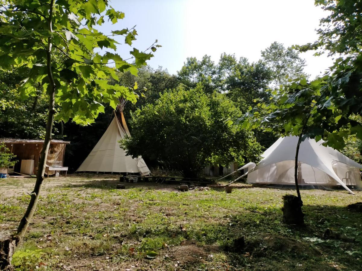 Albergue Del Oso Tierraluz Arbúcies Exterior foto