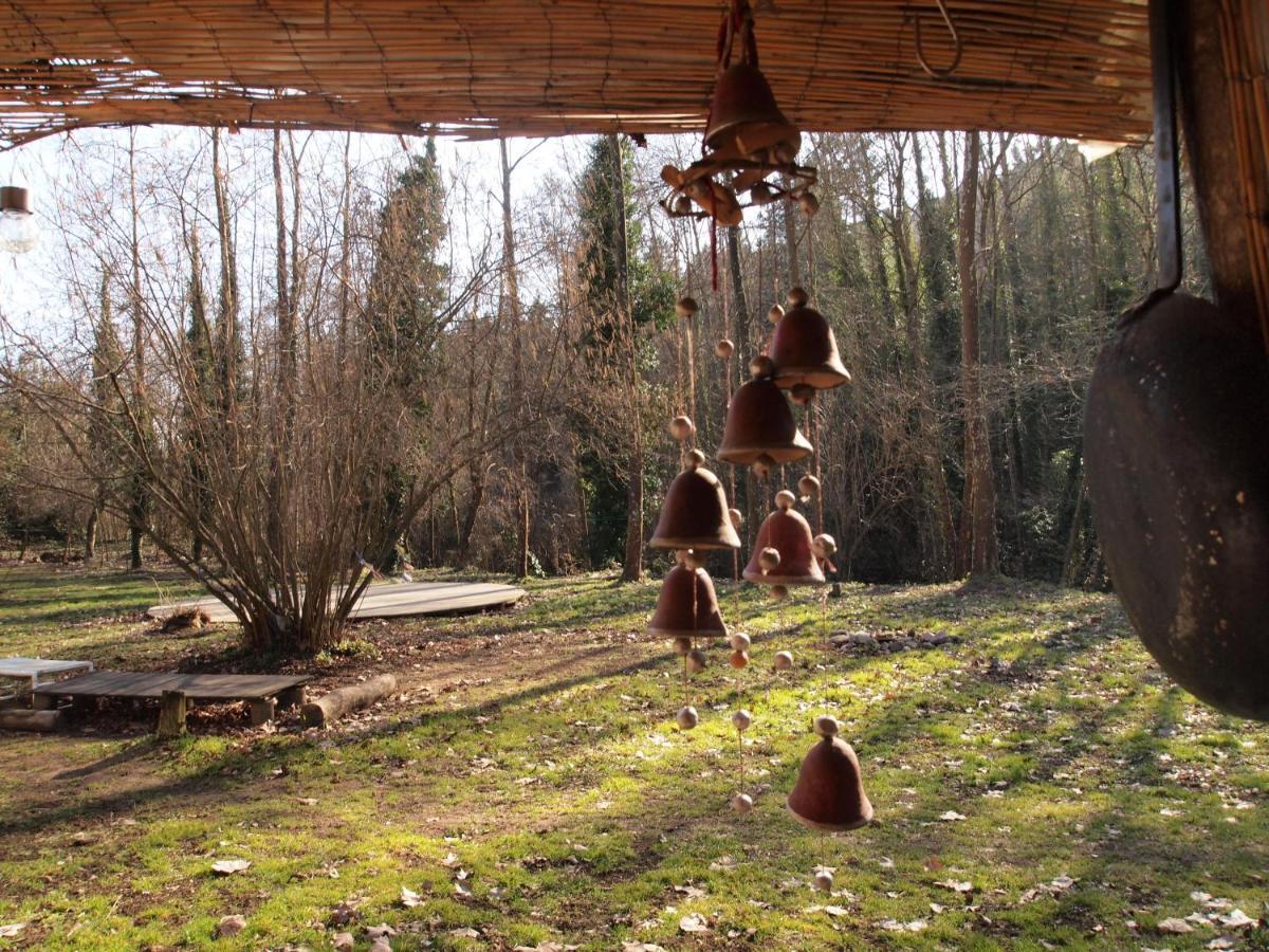 Albergue Del Oso Tierraluz Arbúcies Exterior foto